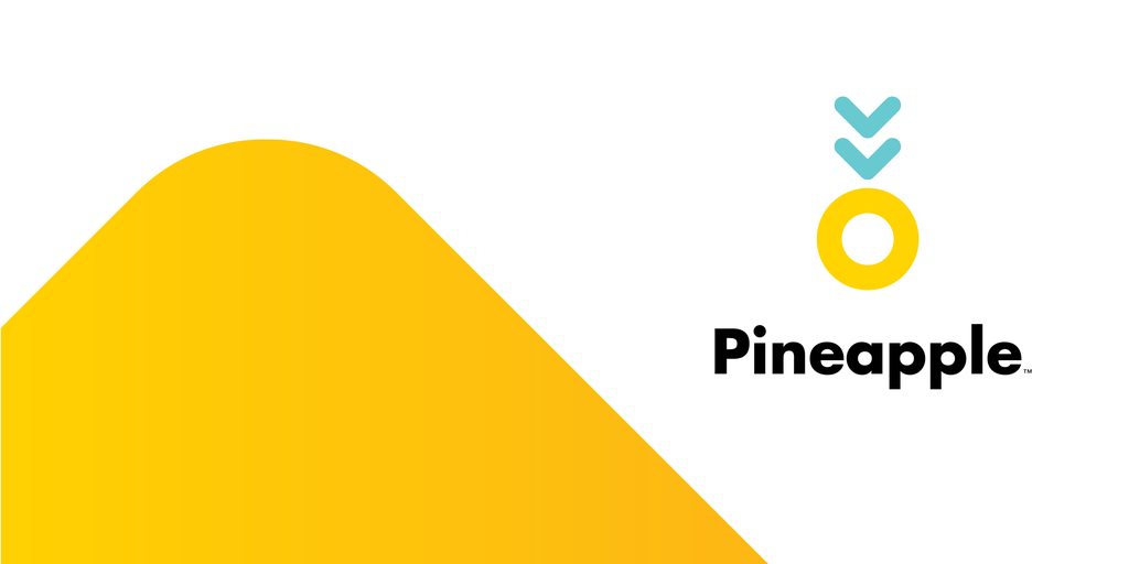 south africa's pineapple takes top prize in us fintech competition - w7 news