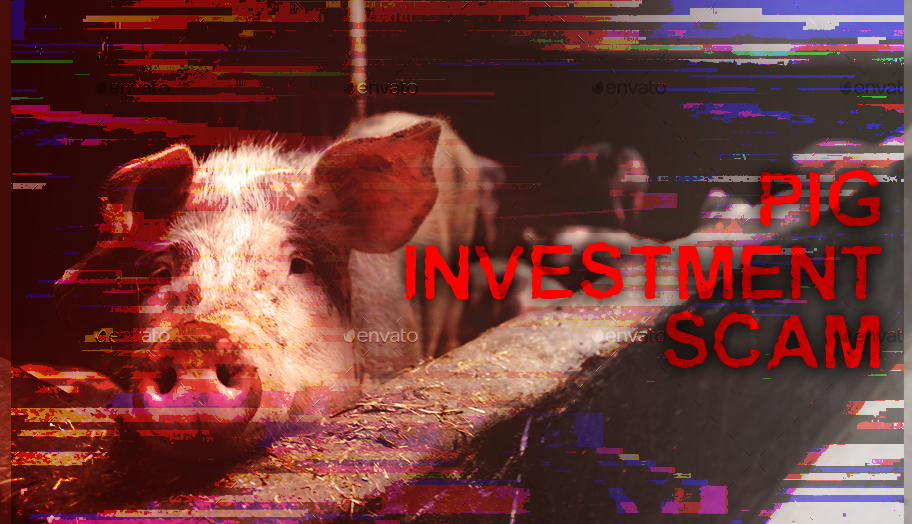 SEC Warning on Pig Investment Scam